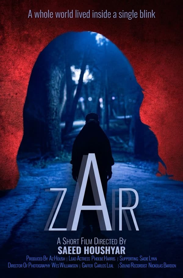 ZAR poster